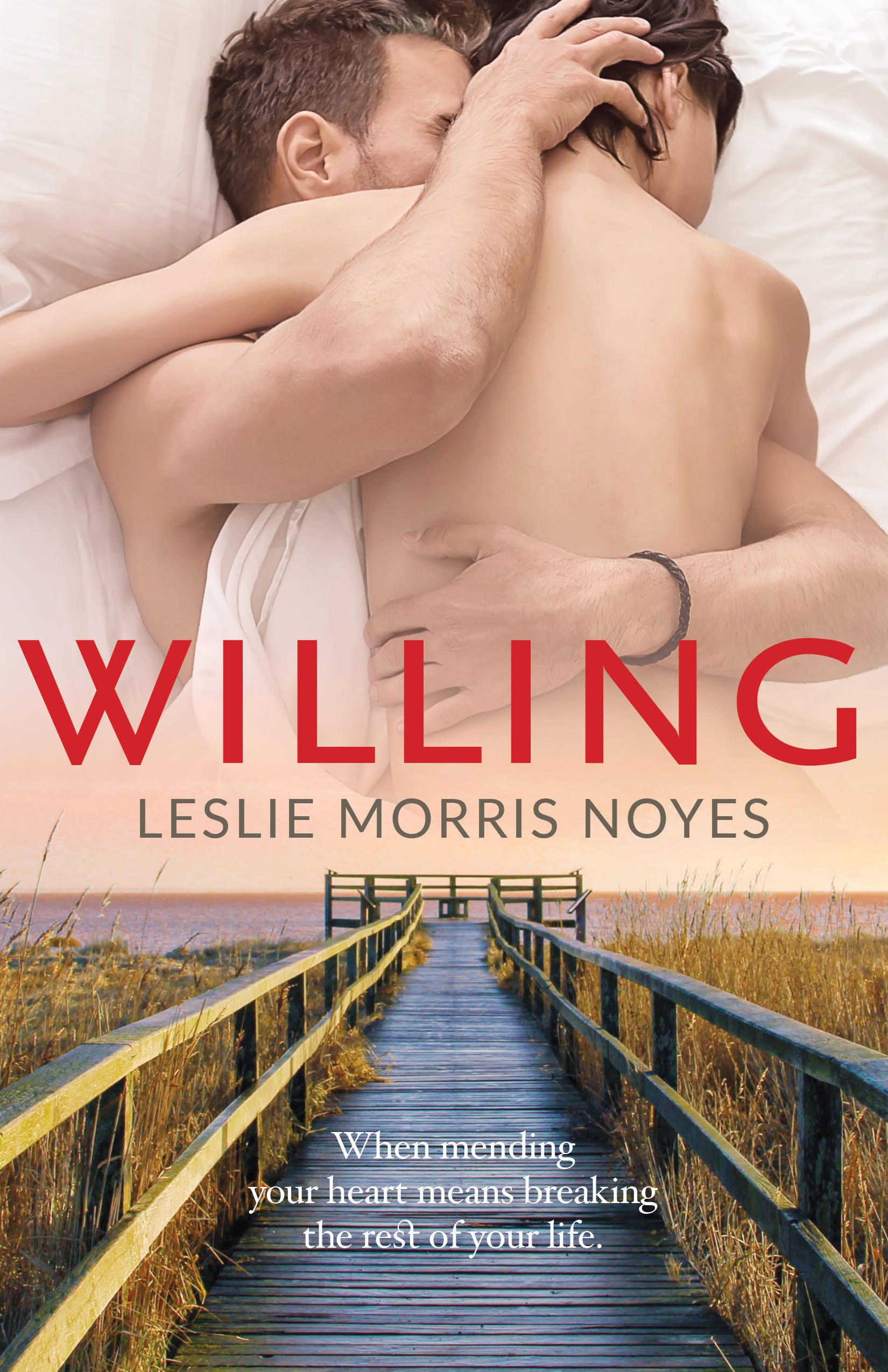 Leslie Morris Noyes - Willing Book Cover